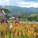 Panoramic Tour of Cebu - What Reviewers Loved About This Tour