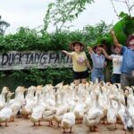 Paradise Cave and Village Charm A Phong Nha Day Trip - Practical Considerations