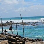 Paradise Galle Day Tours - Authentic Insights from Reviewers