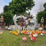 Paradise Park Farm Entry Ticket with Transfer - The Transportation and Timing