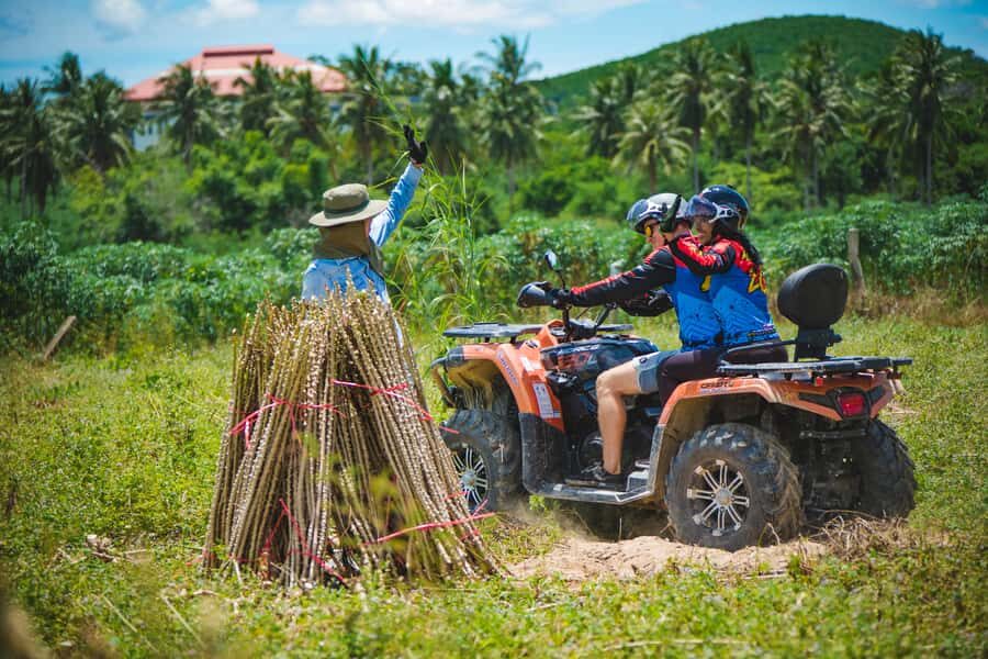 Pattaya: Beginner Rider ATV/Buggy Off-Road Tour with Meal - Who Will Love This Tour?