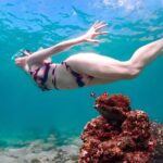 Pattaya : Finding Nemo Snorkeling Tour by Private speedboat - The Sum Up