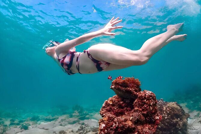 Pattaya : Finding Nemo Snorkeling Tour by Private speedboat - The Sum Up