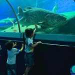 Pattaya Underwater World Entrance Ticket - Authentic Reviewer Insights