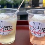 Peach Farm Walk & Farming Experience with a Peach Drink - The Itinerary: From Orchard to Shop