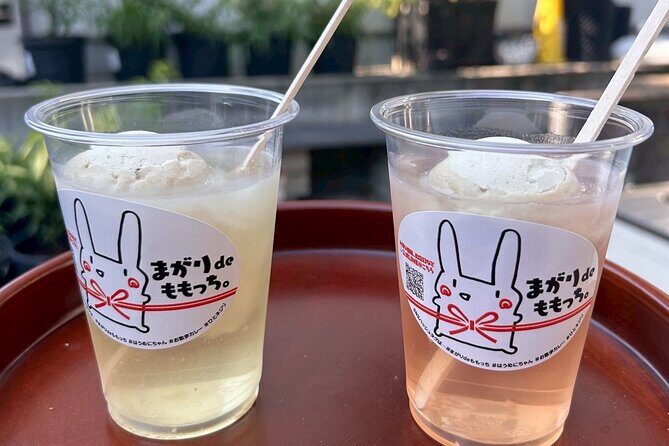 Peach Farm Walk & Farming Experience with a Peach Drink - The Itinerary: From Orchard to Shop