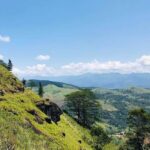 Pekoe Trail 1-5: Guided 7-Day Trek with Hotels & Transfers - What Sets This Trek Apart