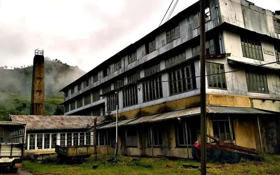 Pekoe Trail 10-16: 8-Day Guide Trail with Hotels & Transfers - Transportation & Logistics