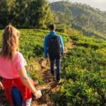 Pekoe Trail 18-22: Guided 7 Day Trail with Hotels &Transfers - Authentic Experiences & Unique Highlights