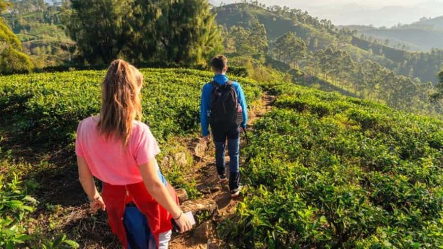 Pekoe Trail 18-22: Guided 7 Day Trail with Hotels &Transfers - Authentic Experiences & Unique Highlights