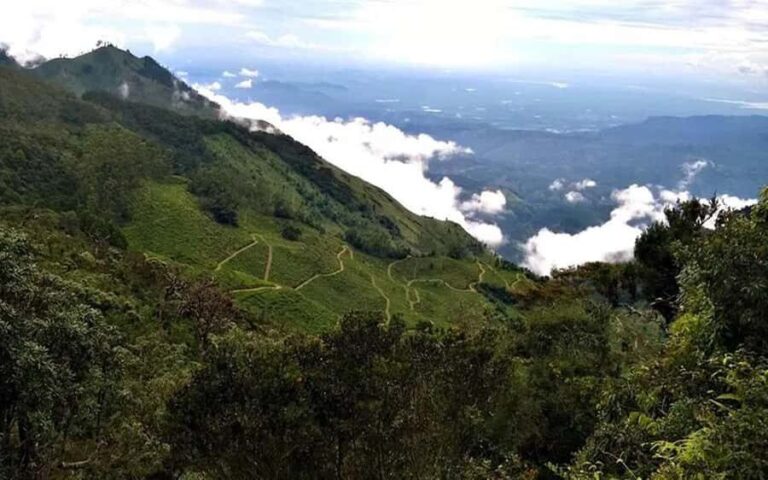 Pekoe Trail Stage 11 Guided Hike (Horton Plains-Udaweriya) - Potential Drawbacks
