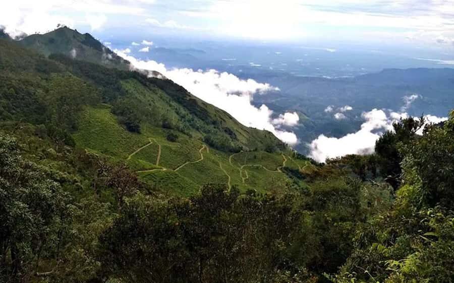 Pekoe Trail Stage 11 Guided Hike (Horton Plains-Udaweriya) - Potential Drawbacks