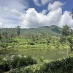 Pekoe Trail Stage 5 Guided Hike (Pundaluoya-Watagoda) - A Close Look at the Plausible Adventure