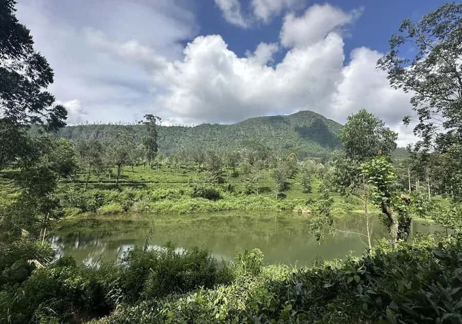 Pekoe Trail Stage 5 Guided Hike (Pundaluoya-Watagoda) - A Close Look at the Plausible Adventure