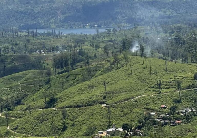 Pekoe Trail Stage 8 Guided Hike (Norwood-Bogawantalawa) - Transportation, Timing, and Group Dynamics