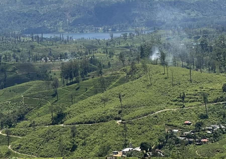 Pekoe Trail Stage 8 Guided Hike (Norwood-Bogawantalawa)