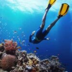 Pemuteran: Biorock Dive Master Internship - Why This Tour Is Special