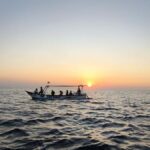 Pemuteran: Dolphin Watching Tour with Hotel Transfer - Why the Experience Matters: What You Gain