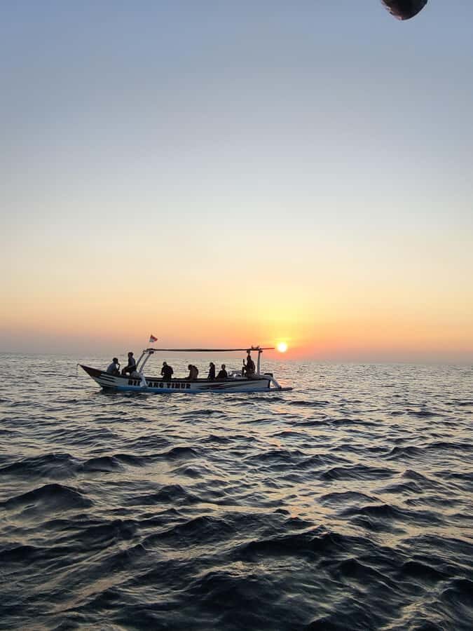 Pemuteran: Dolphin Watching Tour with Hotel Transfer - Why the Experience Matters: What You Gain