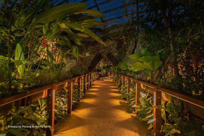 Penang City and Entopia Butterfly Farm Tour - Transportation and Practical Details