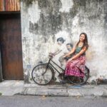 Penang Essentials Tour: Top Landmarks & Tropical Fruit Farm - Who Will Love This Tour?