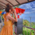 Penang: Iconic Temples and Penang Hills Half-Day Tour - What the Tour Feels Like in Practice