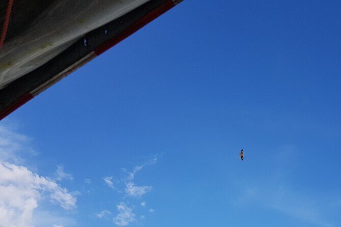 Penang to Kuala Sepetang & Taiping Day Tour - Transport and Practicalities