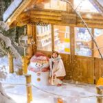Penguin Fun & Snowmobile : Sapporo Winter (Asahiyama Zoo) - Diving into the Details: What This Tour Offers