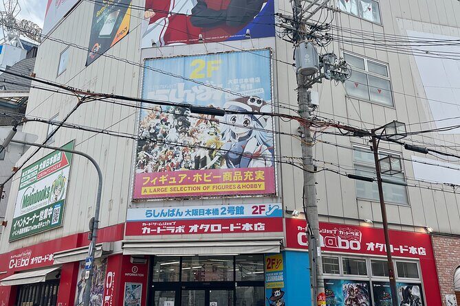 Personalized Anime Tour in Osaka - What Does the Tour Cover?