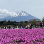 Personalized Mount Fuji Experience Customizable Full Day Trip - Who Will Love This Tour?