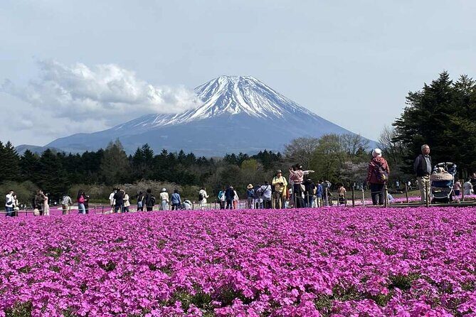 Personalized Mount Fuji Experience Customizable Full Day Trip - Who Will Love This Tour?