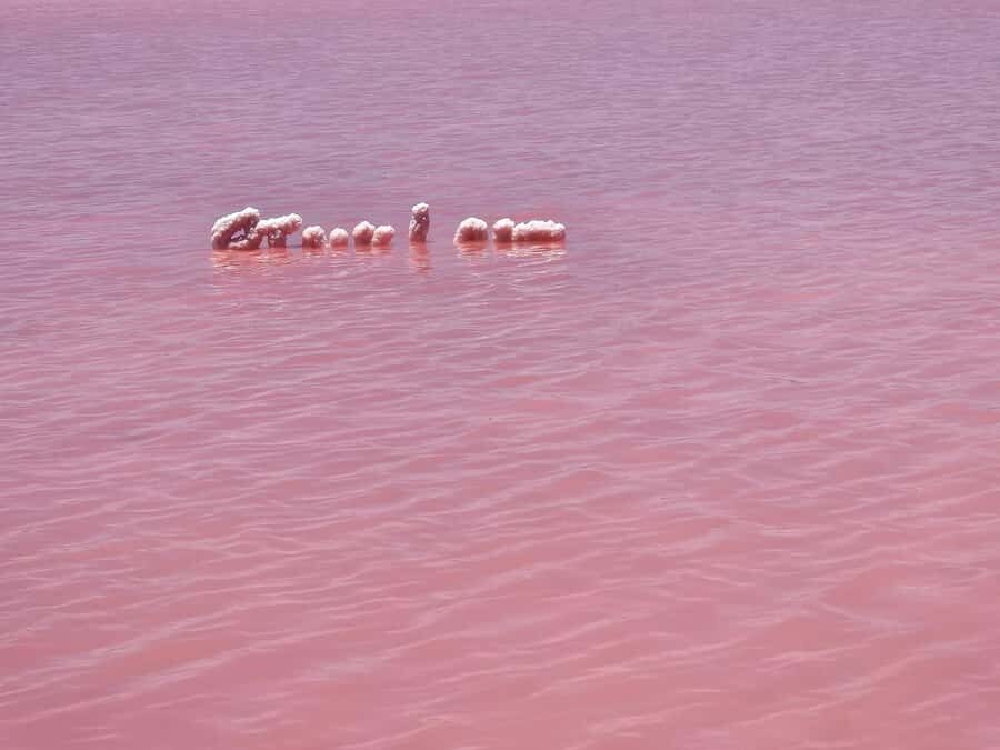 Perth: 2-Day Pink Lake, Kalbarri, and Pinnacles Tour - Deep Dive into the Experience