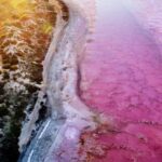 Perth: 4-Day Monkey Mia Pink Lake Coastal Loop Comfort Tour - Exploring the Itinerary in Detail