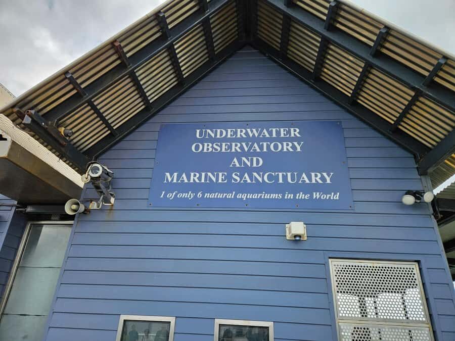 Perth: Busselton Jetty Full - Day Guided Tour - Busselton Jetty: An Iconic Coastal Landmark