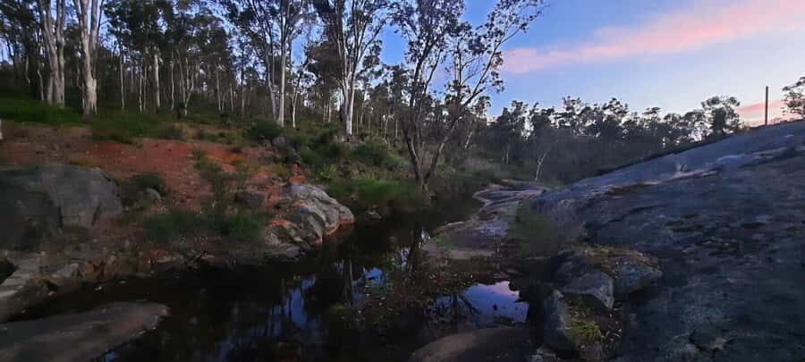 Perth: Darling Range Twilight Wander - Who Should Book This Tour?