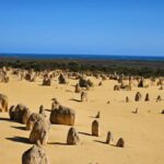 Perth: Pinnacles Desert & Sand Dunes Private Day Tour - Starting the Day: From Perth to Yanchep National Park