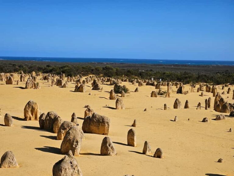Perth: Pinnacles Desert & Sand Dunes Private Day Tour - Starting the Day: From Perth to Yanchep National Park