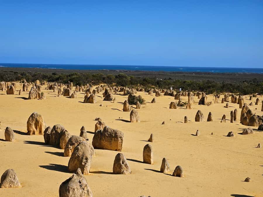 Perth: Pinnacles Desert & Sand Dunes Private Day Tour - Starting the Day: From Perth to Yanchep National Park