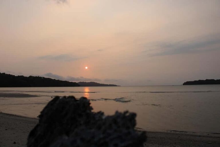 Peucang Island: 3-Day Ujung Kulon National Park EcoTour - Deep Dive into the Experience