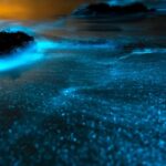 Phi Phi & 4 Islands Sunset tour + Bioluminescent Planktons - The Experience on the Water