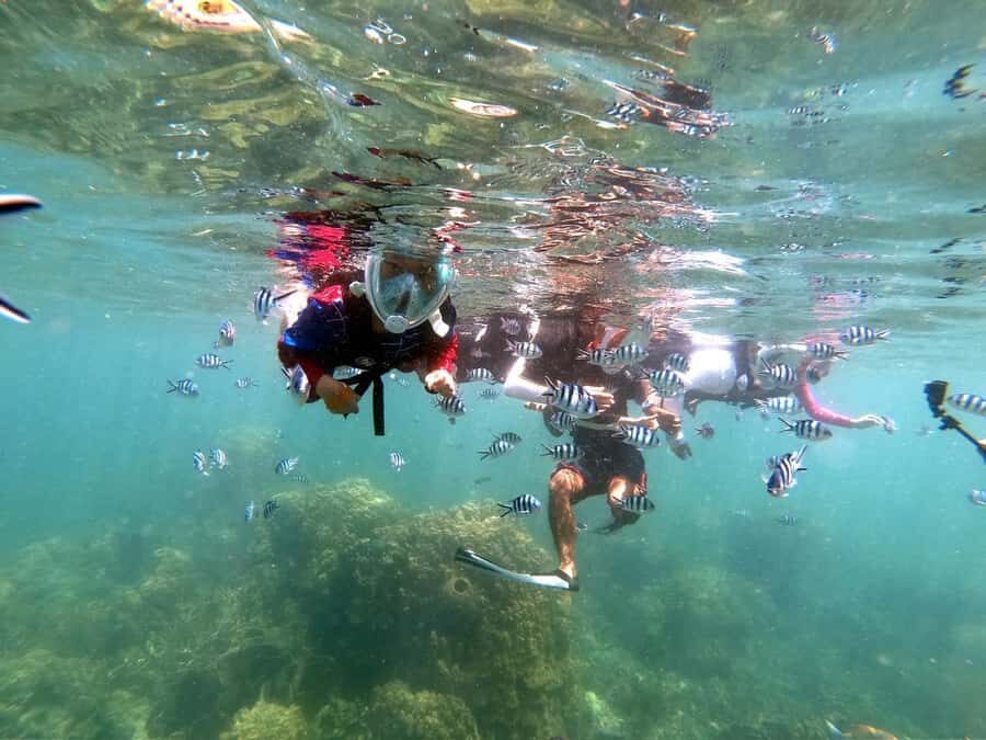 Phi Phi: 4Hrs Bamboo & Phi Phi Tour By Private Longtail Boat - Final Thoughts: Who Should Consider This Tour?