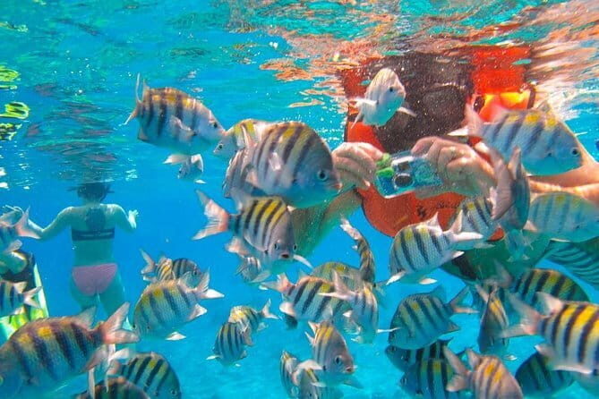 Phi Phi Half Day Tour Speed Boat Tour - Why This Tour Works Well