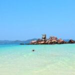 Phi Phi Island Enjoy Snorkeling & Colourful Fishes From Phuket - Final Thoughts