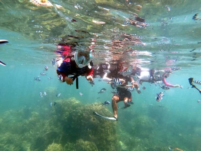 Phi Phi Islands: Maya Bay Tour By Private Longtail Boat - Monkey Beach: Playful Encounters