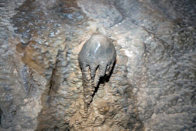 Phi Phi + James Bond Island Day Tour by Speed Catamaran - Final Thoughts: Is This Tour For You?