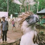 Philippine Eagle Center/Shopping - Practical Aspects of the Tour