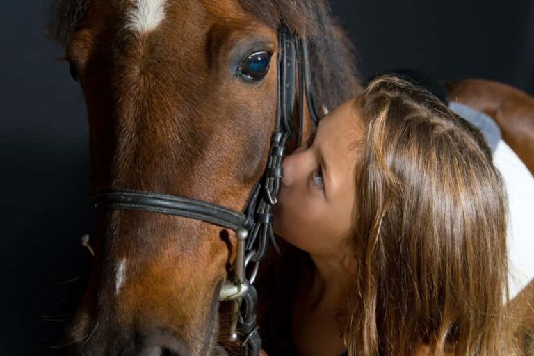 Philippines, Bukidnon Private Horseback Ride & Tribal Picnic - Discovering Bukidnon: An Off-the-Beaten-Path Gem