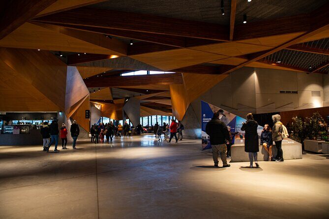 Phillip Island Direct Tour Penguin Parade and Coastal Views - Return to Melbourne