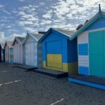 Phillip Island Penguins and Moonlit Sanctuary Private Day Tour - Why the Tour Offers Great Value