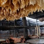 Phnom Penh: 4-Days Local Culture Experience - FAQ